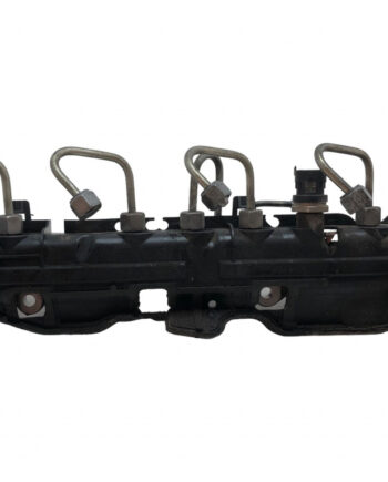 Rampa injectoare Renault Megane  3 (2009-2012) 1.9 DCI F9Q (870) 175212059R
