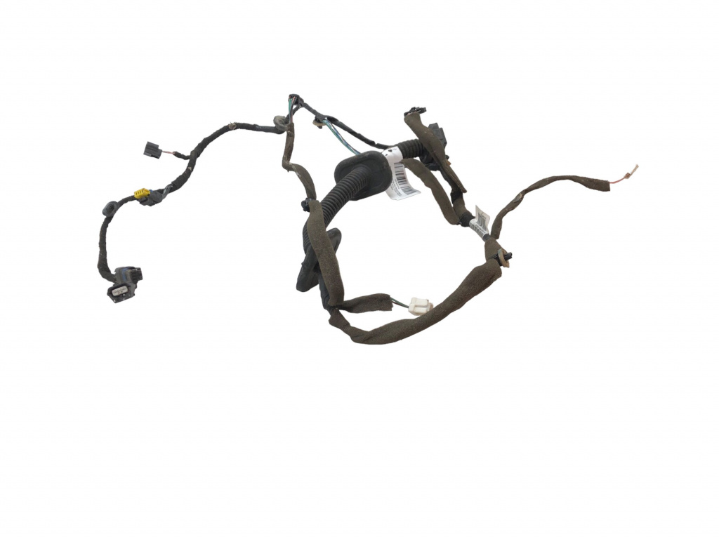 Instalatie usa stanga fata Megane 3 GRANDTOUR (2009-2012) 1.9 DCI F9Q (870) 241252380R - imagine 2
