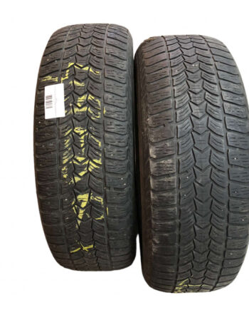 Set 2 anvelope All Season Debica Frigo HP 2 215/65 R16 98H