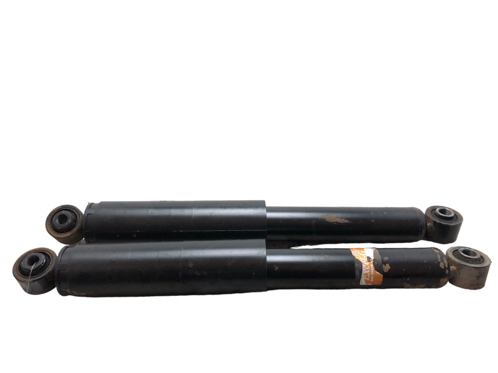 Set amortizoare spate Volkswagen Transpoter T5 (2003-2015) 2.0 TDI CAAC 7H0513029D