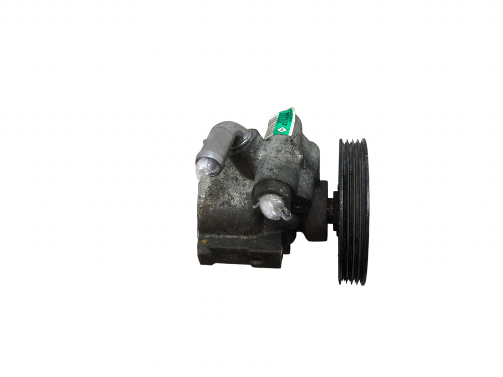 Pompa servodirectie Symbol / Thalia 2 (2008-2012) 1.2 16v DF4 L35 491102028R