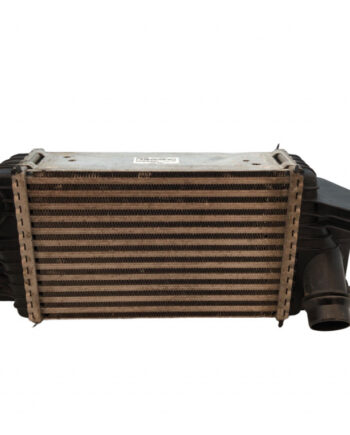 Radiator intercooler Juke F15E (2014-2018) 1.5 DCI K9K 144611KB2A